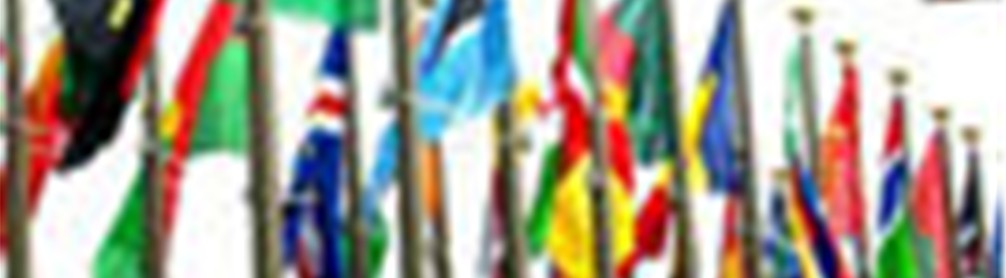 Flags of the member states at the 17th African Union Summit
