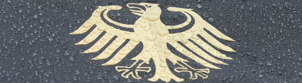 Bundesadler im Regen